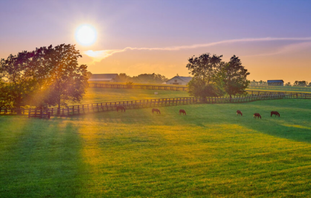 iStock-1349772438