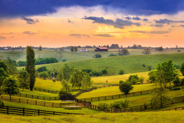 iStock-497416361