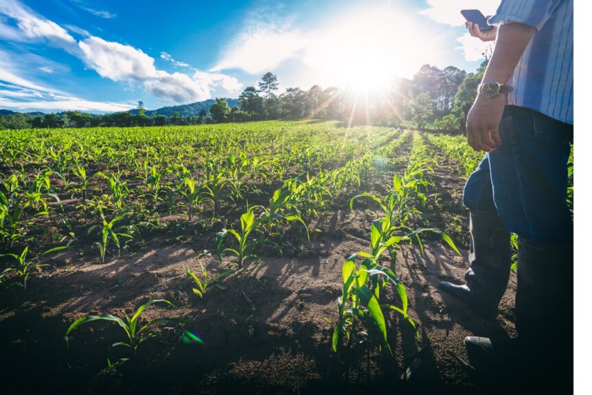 USDA Denied Your Farm Program Request: What Are Your Appeal Options?